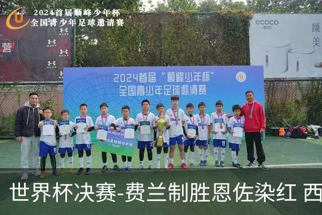 世界杯决赛-费兰制胜恩佐染红 西班牙加时1-0阿根廷夺冠