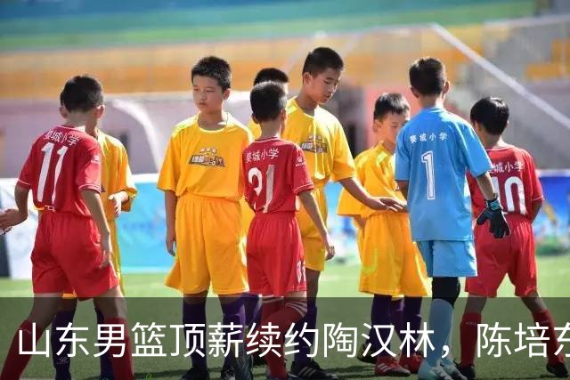 山东男篮顶薪续约陶汉林，陈培东续约留队，高诗岩或拿不到顶薪