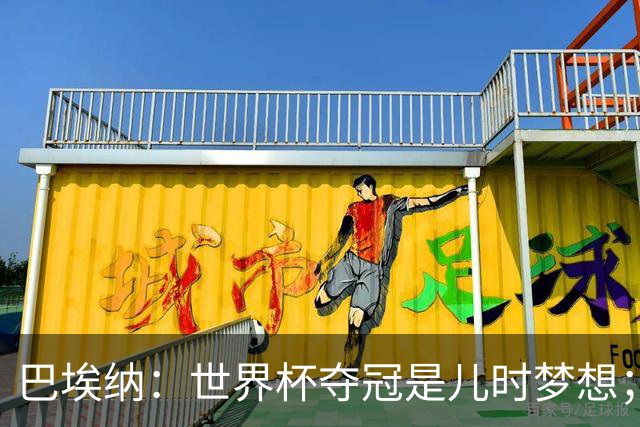 巴埃纳：世界杯夺冠是儿时梦想；尼科上场后也做出了贡献